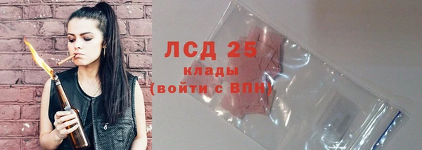 шишки Вязьма