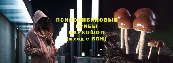 шишки Вязьма