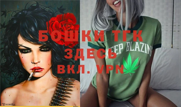 шишки Вязьма