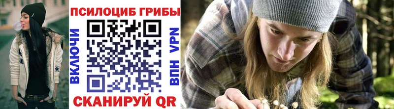 Псилоцибиновые грибы Cubensis  Купить  Верхотурье 
